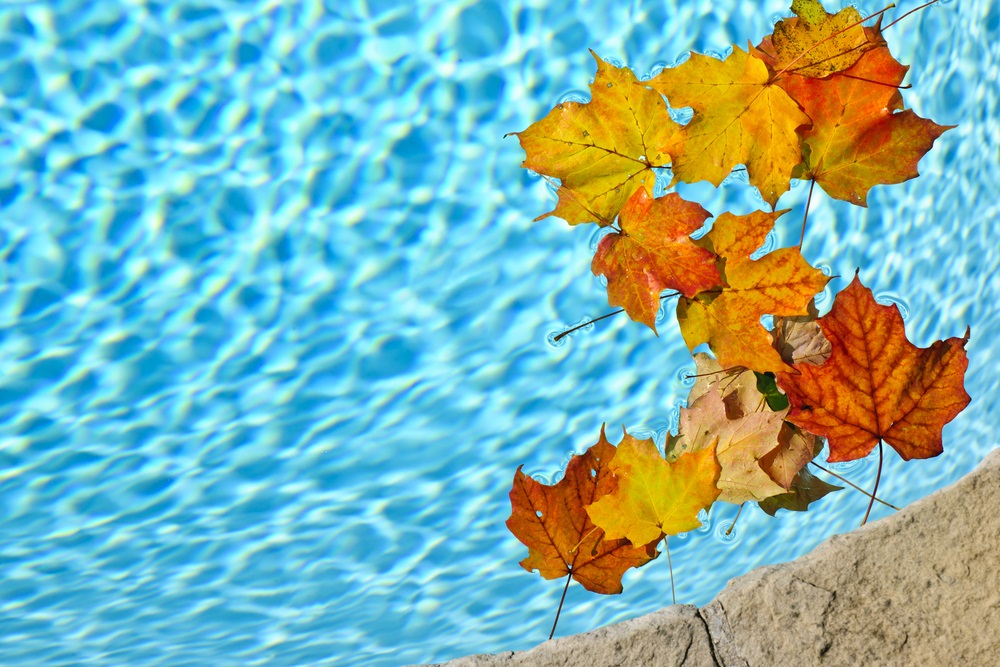 Tips For Closing Your Swimming Pool For The Season