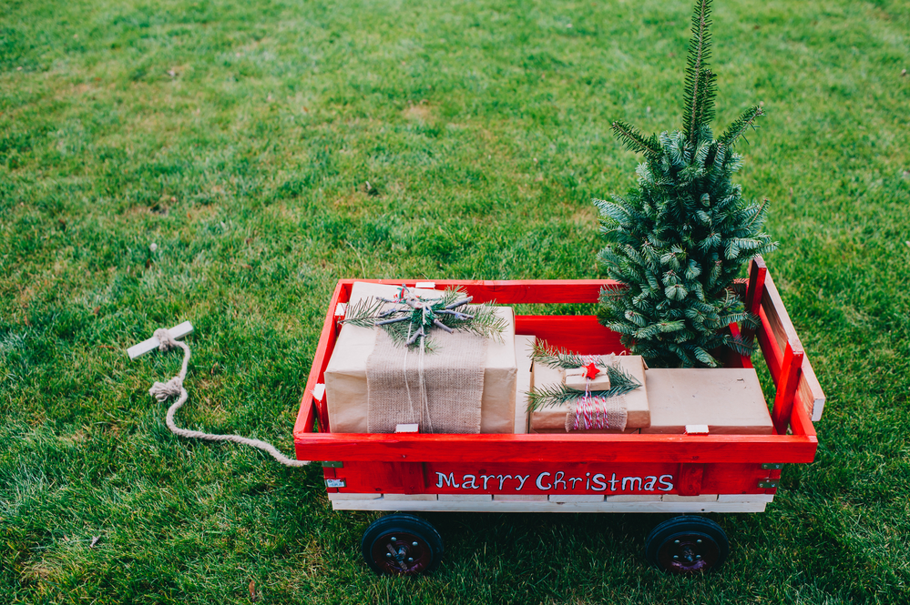 Decorate The Backyard For Holiday Fun 