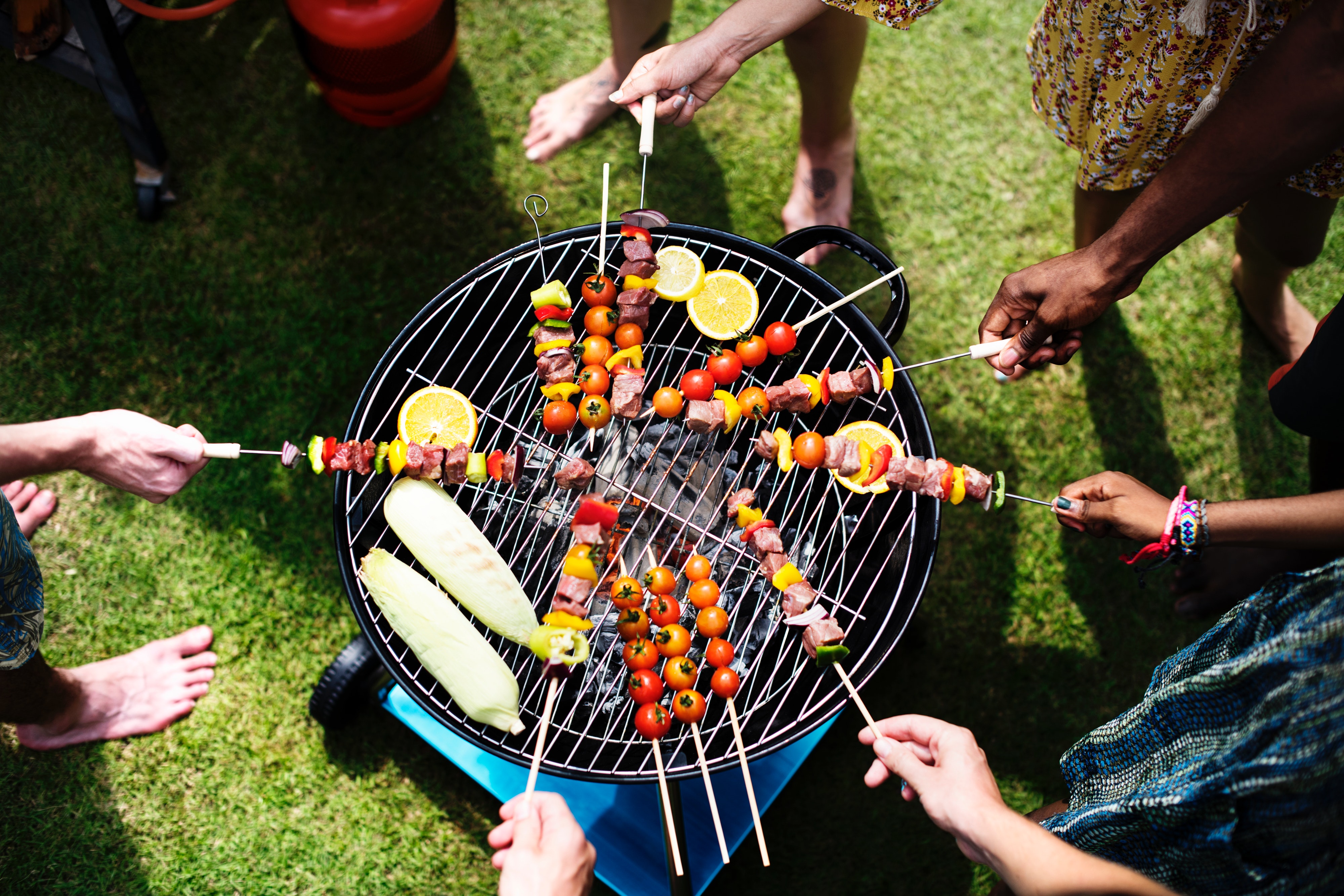 Do You Need A New Backyard BBQ?