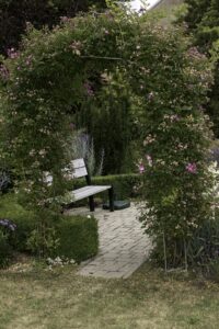 Planting For Backyard Relaxation & Beauty