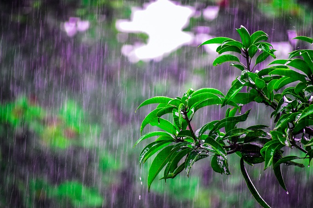 Rain Rain Go Away! After Storm Poolcare